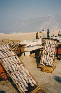 nazare fish drying