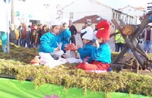 carnavalfig3