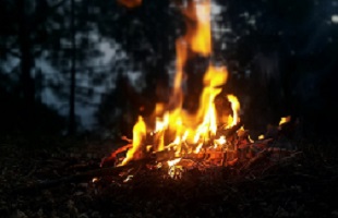 garden fire