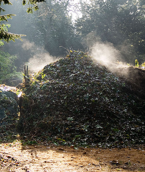 compost